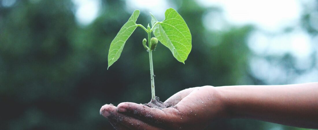 Nunca Pare de Crescer — Abrace o Potencial Humano